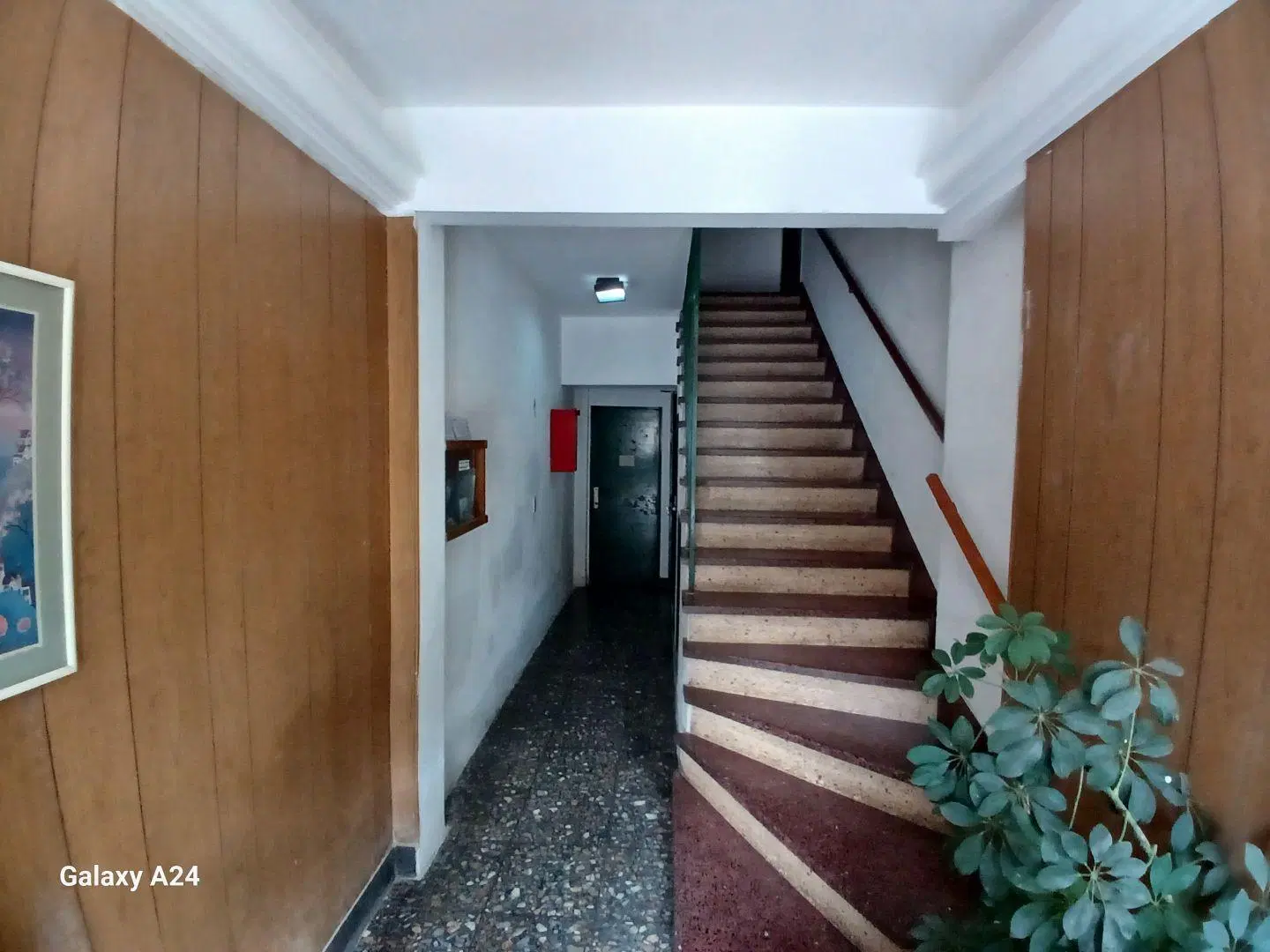 Departamento 3 ambientes. | Puan 3694 2