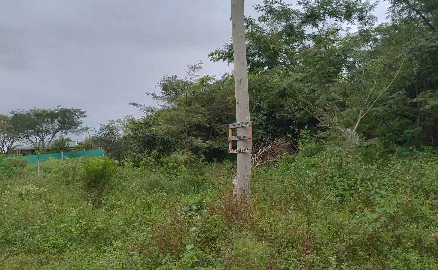 Terreno en Vaqueros 1
