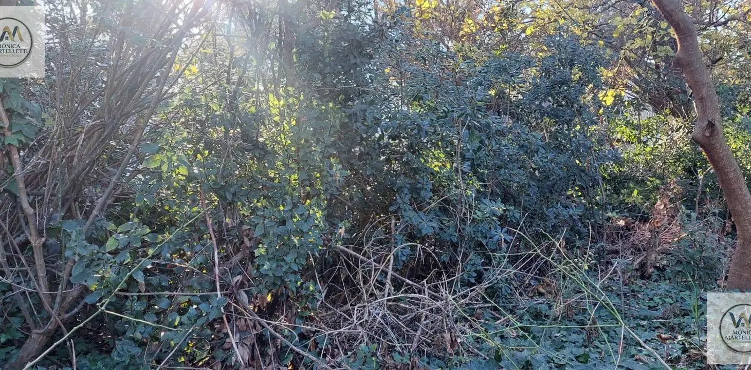 TERRENO ESTRATÉGICO EN ITUZAINGÓ NORTE A 150 MTS DE ACCESO OESTE- ACEPTA PERMUTA 8