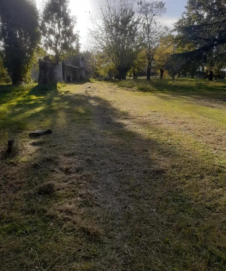 VENTA|CASA QUINTA| A RECICLAR|AZUL|PROVINCIA DE BUENOS AIRES| 4