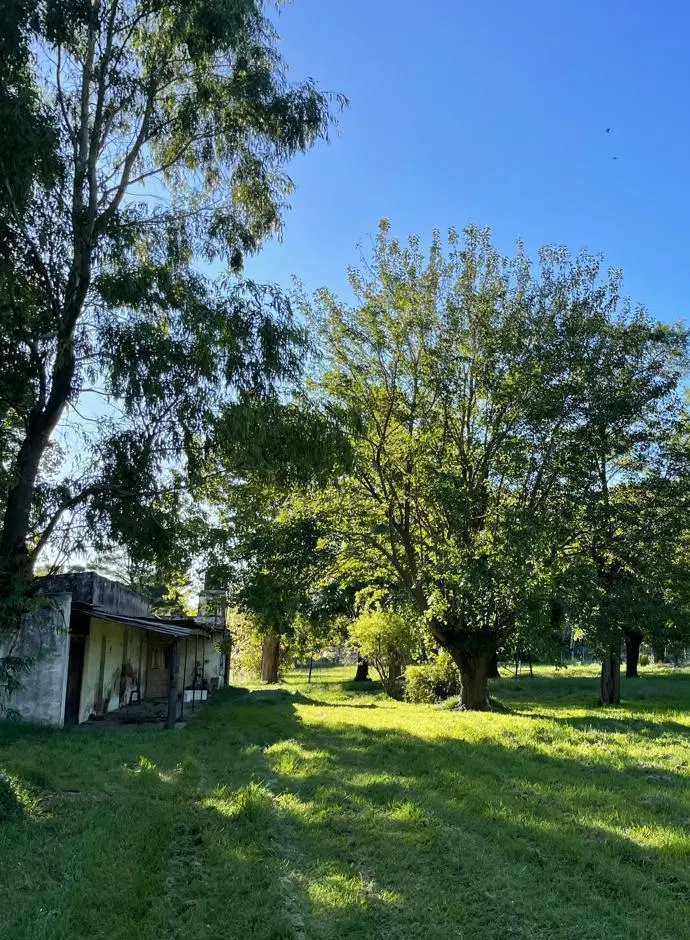 VENTA|CASA QUINTA| A RECICLAR|AZUL|PROVINCIA DE BUENOS AIRES| 2