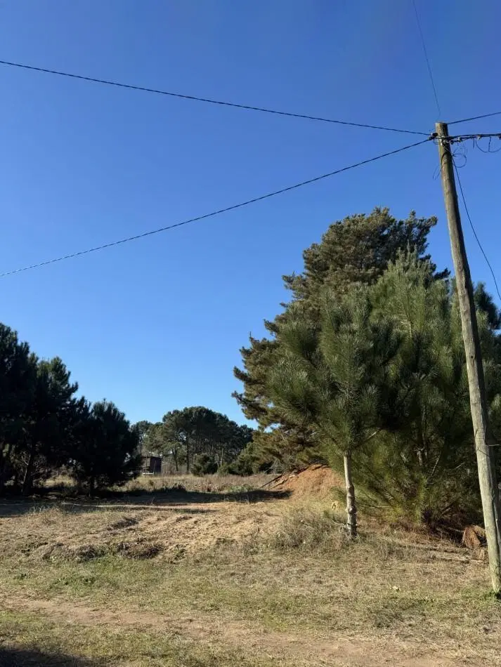 Lote Arbolado- Nueva Atlantis - Partido de la Costa - El Ancla y Alberdi 2
