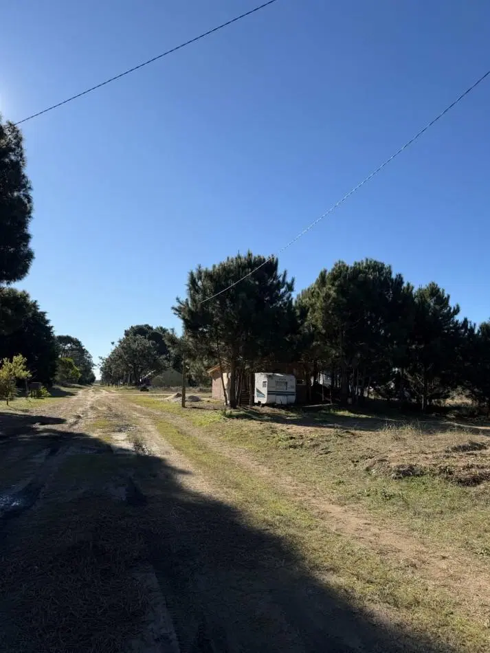 Lote Arbolado- Nueva Atlantis - Partido de la Costa - El Ancla y Alberdi 1