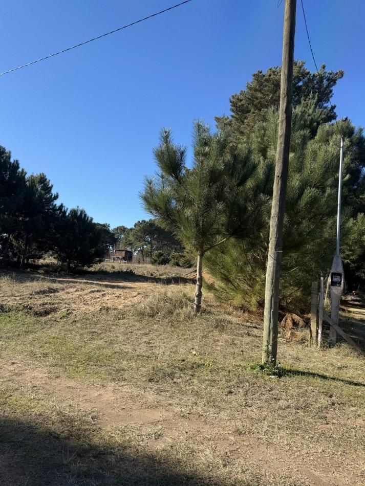 Lote Arbolado- Nueva Atlantis - Partido de la Costa - El Ancla y Alberdi