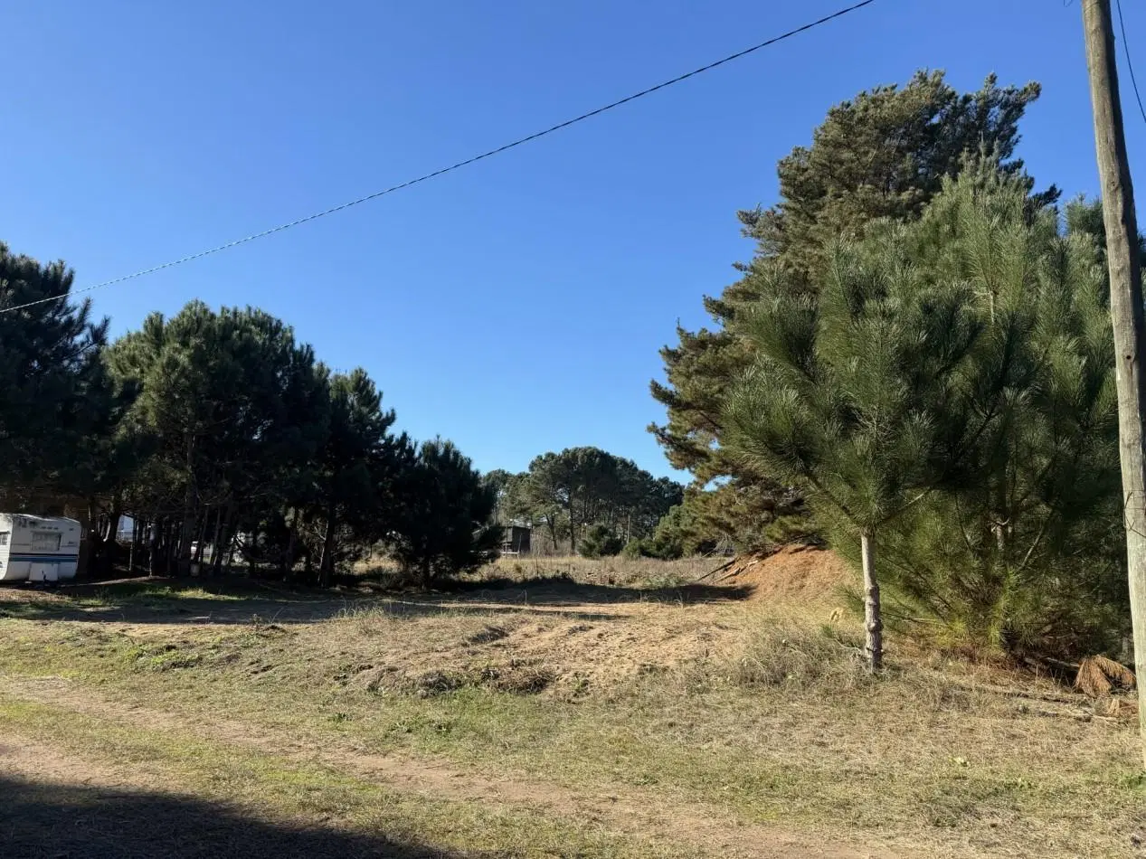 Lote Arbolado- Nueva Atlantis - Partido de la Costa - El Ancla y Alberdi 3