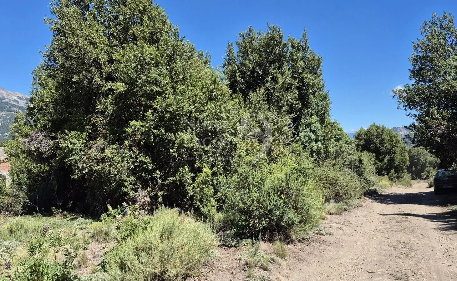 venta de lote soleado con vegetación en Villa Lago Meliquina 4