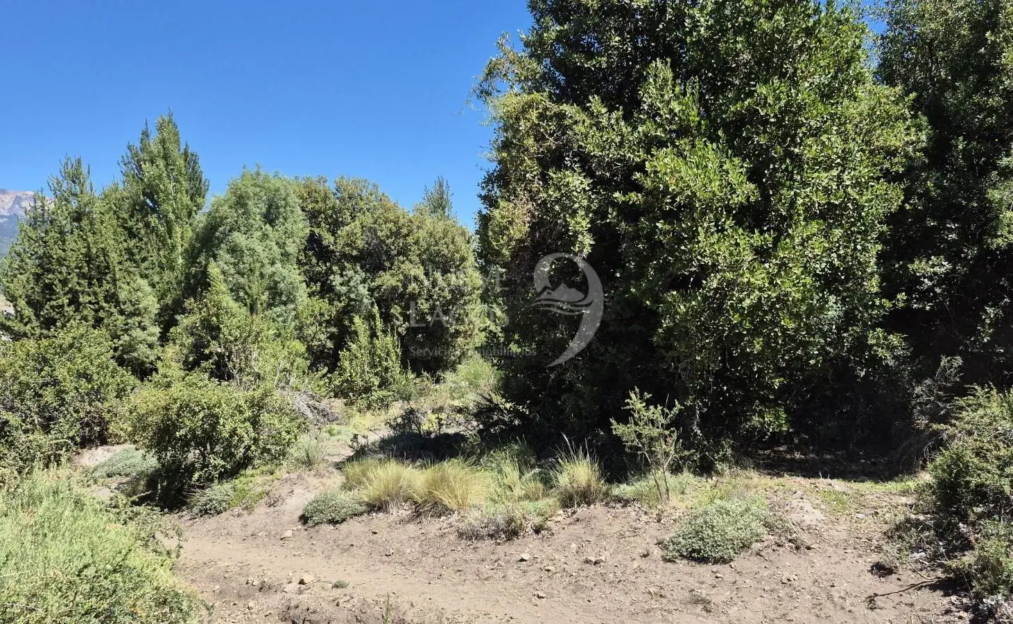 venta de lote soleado con vegetación en Villa Lago Meliquina 8