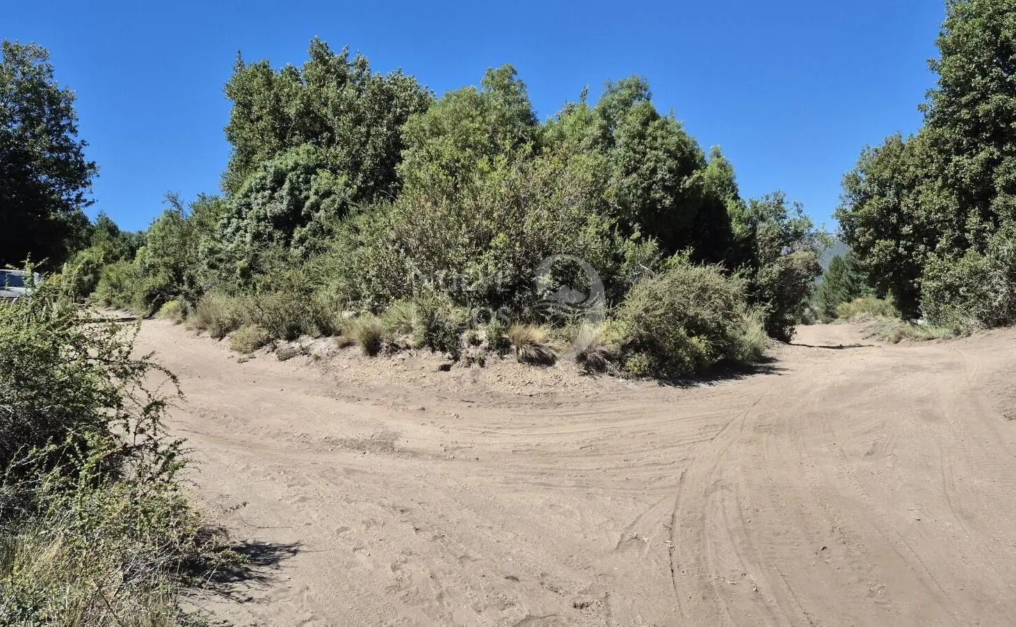 venta de lote soleado con vegetación en Villa Lago Meliquina 3