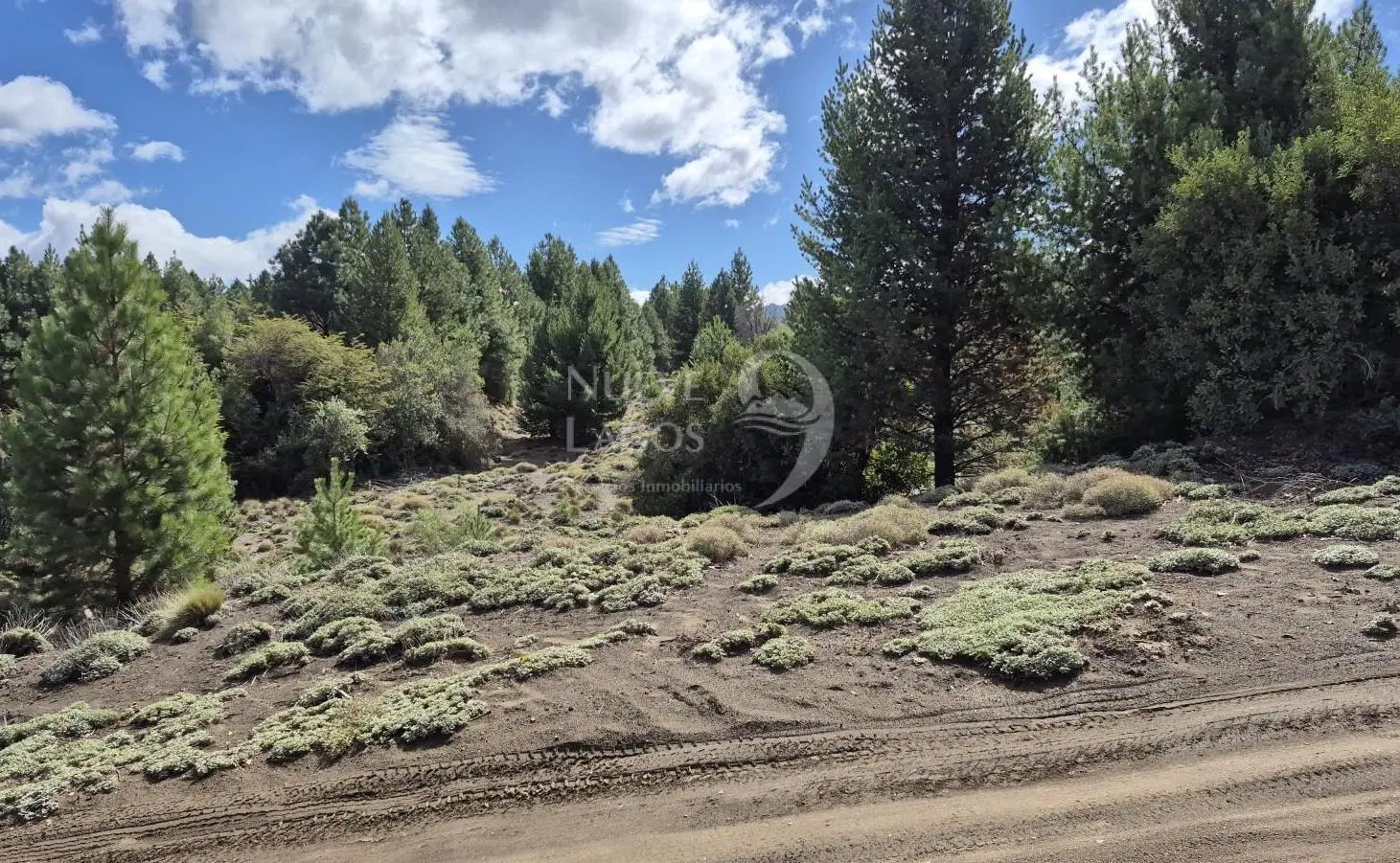 Venta de lote amplio sobre ruta 63 en Vila Lago Meliquina 5