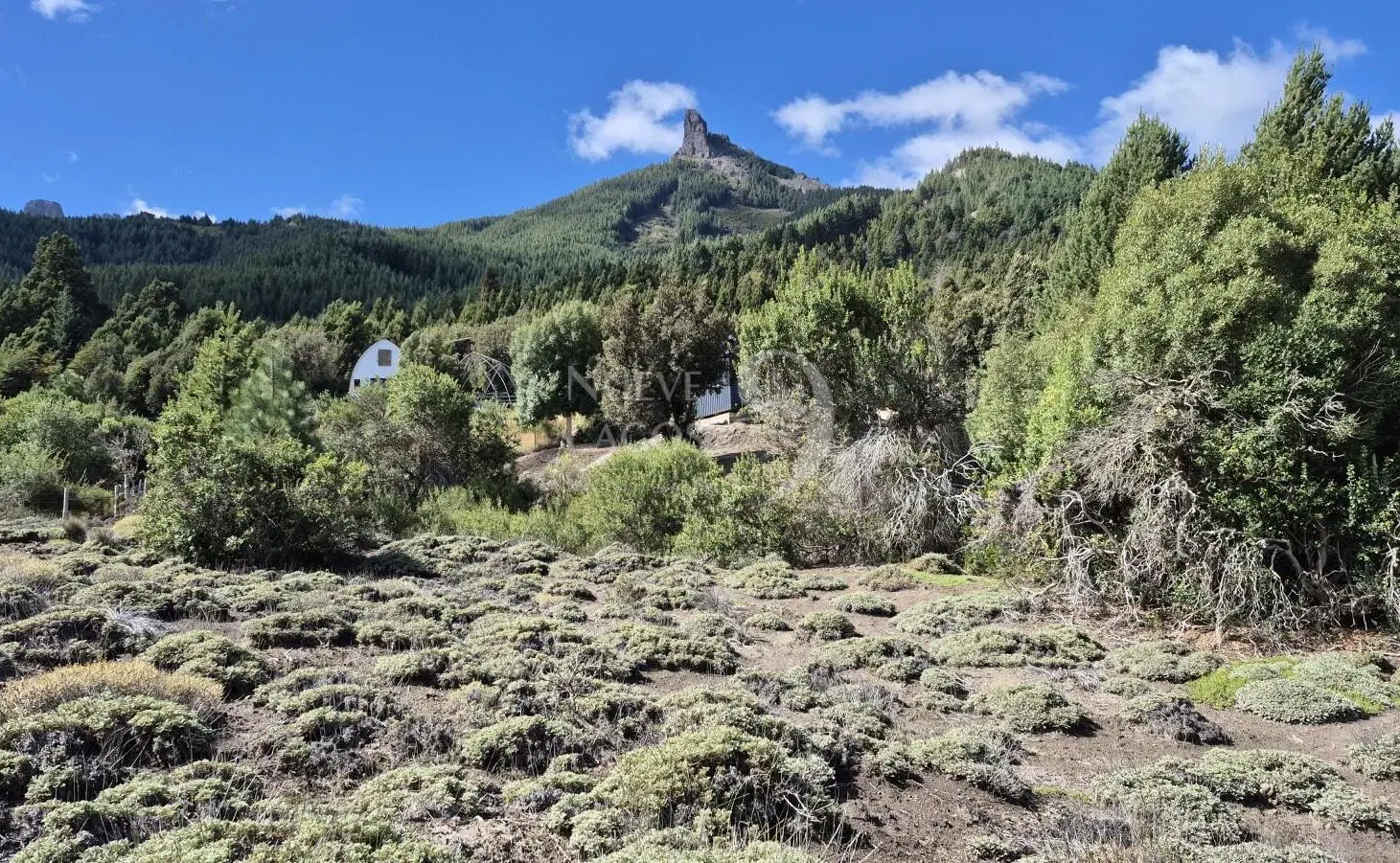 Venta de lote amplio sobre ruta 63 en Vila Lago Meliquina 2