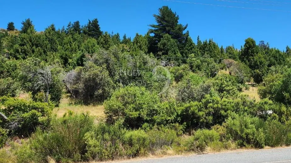 Venta fracción de 11 héctareas en Epuyén 3