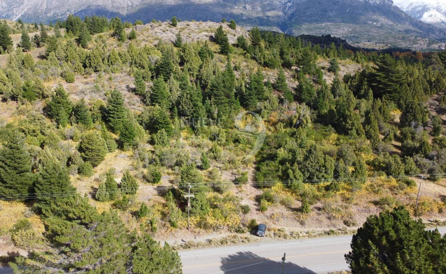Venta fracción de 11 héctareas en Epuyén