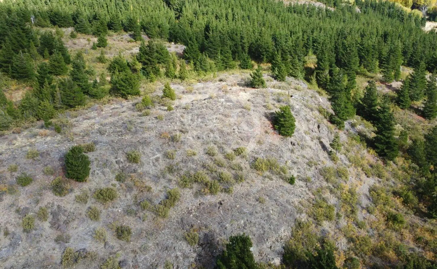 Venta fracción de 11 héctareas en Epuyén 4