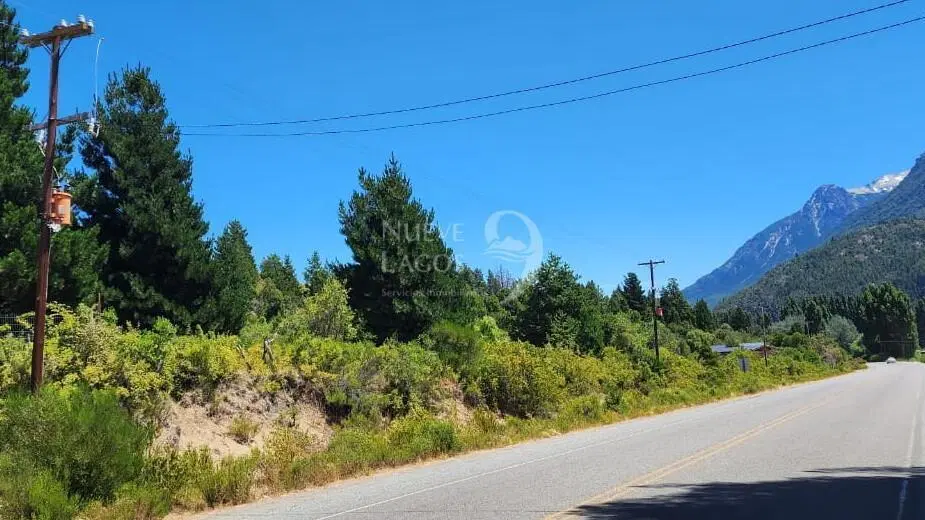 Venta fracción de 11 héctareas en Epuyén 5