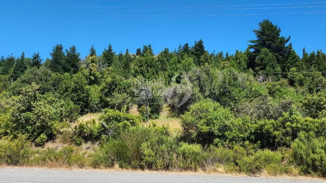 Venta fracción de 11 héctareas en Epuyén 4