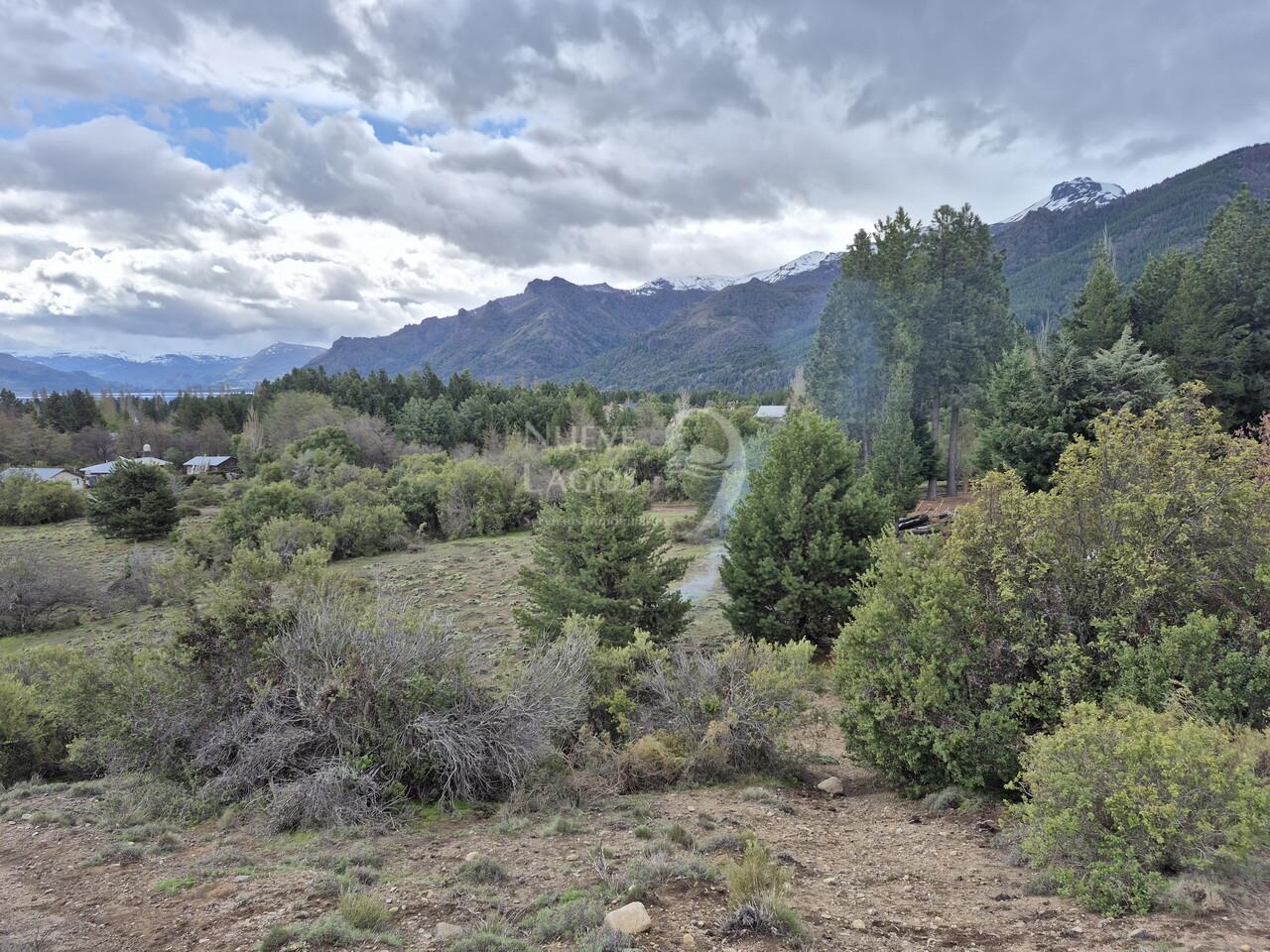 Foto de Venta de lote con fondo de espacio verde en Villa Lago Meliquina, imagen 4