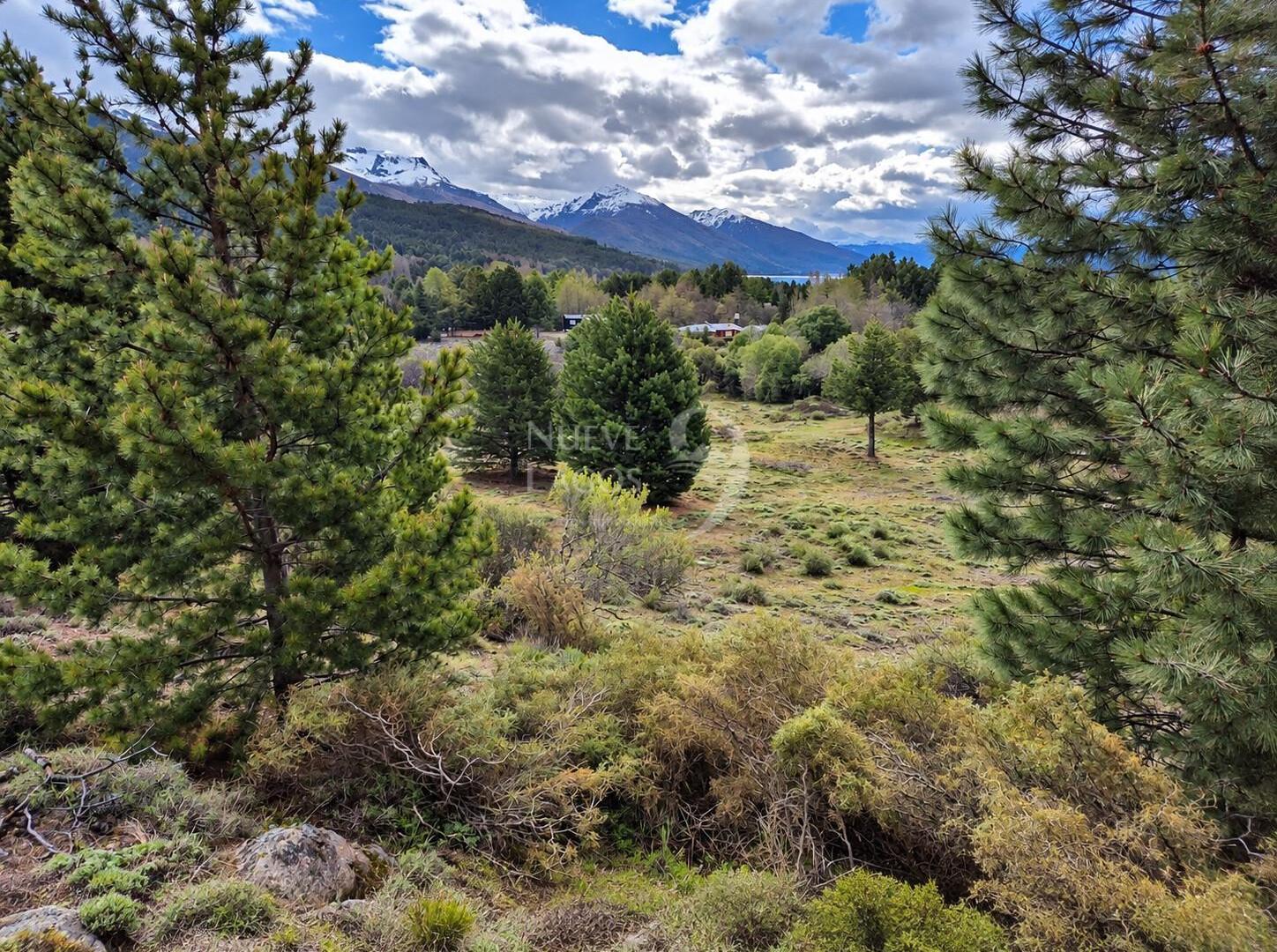 Foto de Venta de lote con fondo de espacio verde en Villa Lago Meliquina, imagen 2