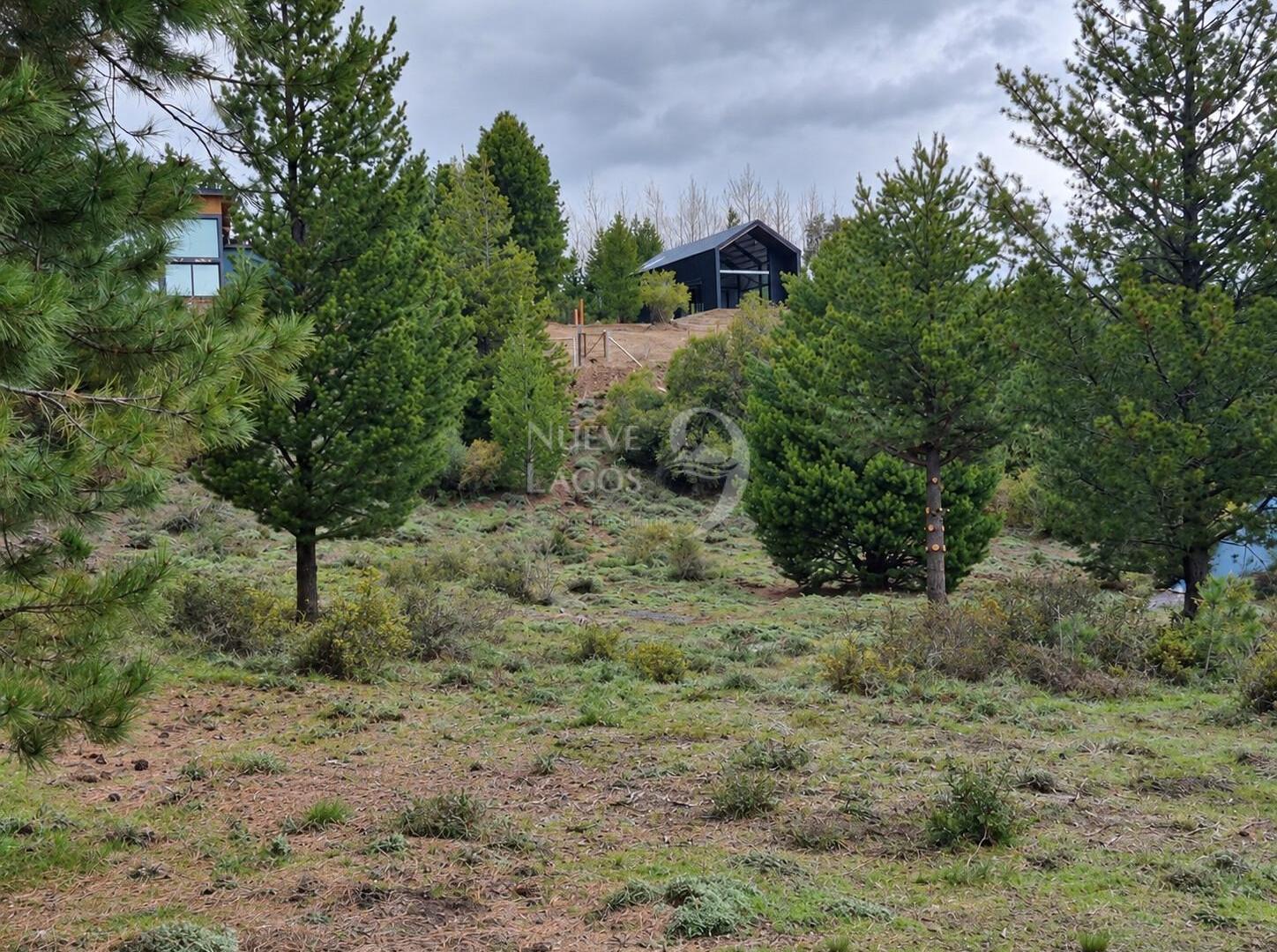 Foto de Venta de lote con fondo de espacio verde en Villa Lago Meliquina, imagen 3