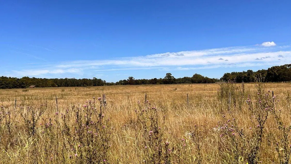 VENTA LOTES 3600M2 ESTACION CAMET, LA TRINIDAD 3