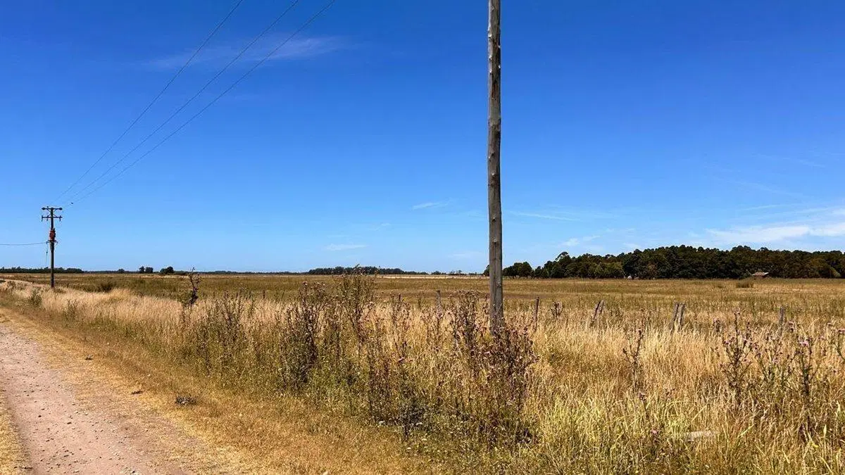 VENTA LOTES 3600M2 ESTACION CAMET, LA TRINIDAD 5