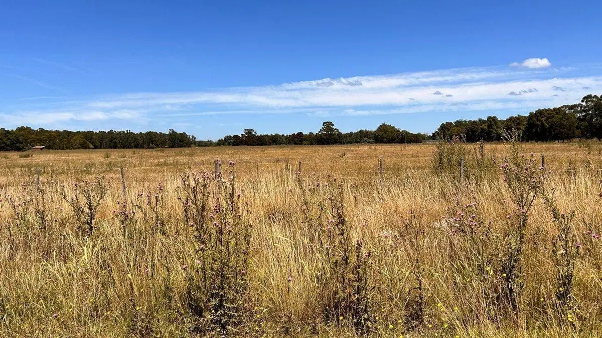 VENTA LOTES 3600M2 ESTACION CAMET, LA TRINIDAD 2