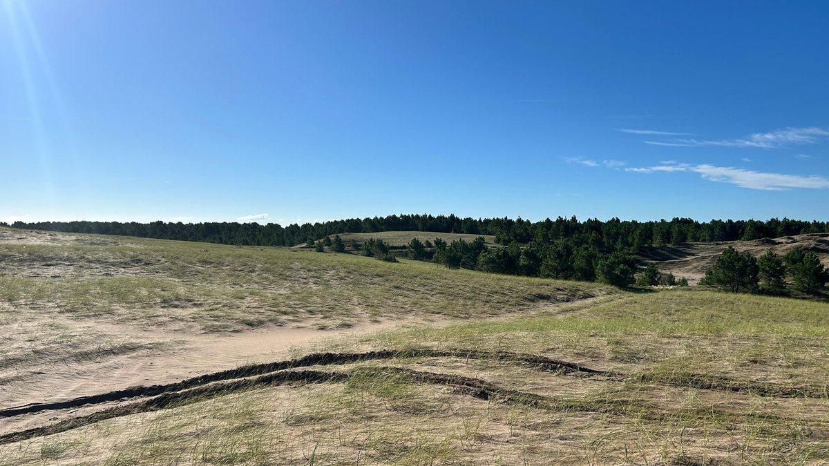 VENTA CAMPO DE 82 HA EN MEDANO BLANCO NECOCHEA
