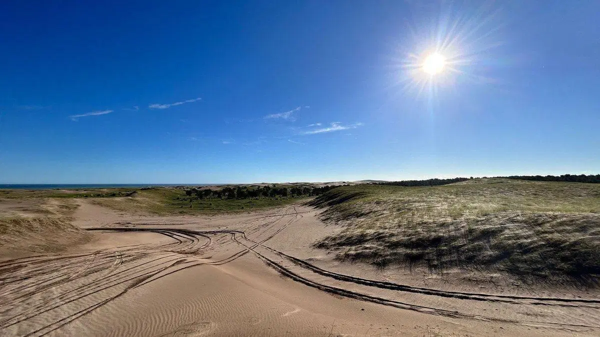 VENTA CAMPO DE 82 HA EN MEDANO BLANCO NECOCHEA 5