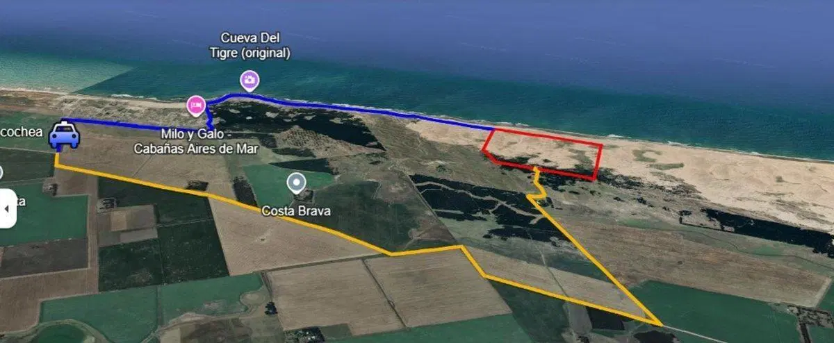 VENTA CAMPO DE 82 HA EN MEDANO BLANCO NECOCHEA 3