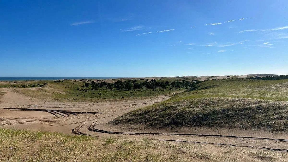 VENTA CAMPO DE 82 HA EN MEDANO BLANCO NECOCHEA 2