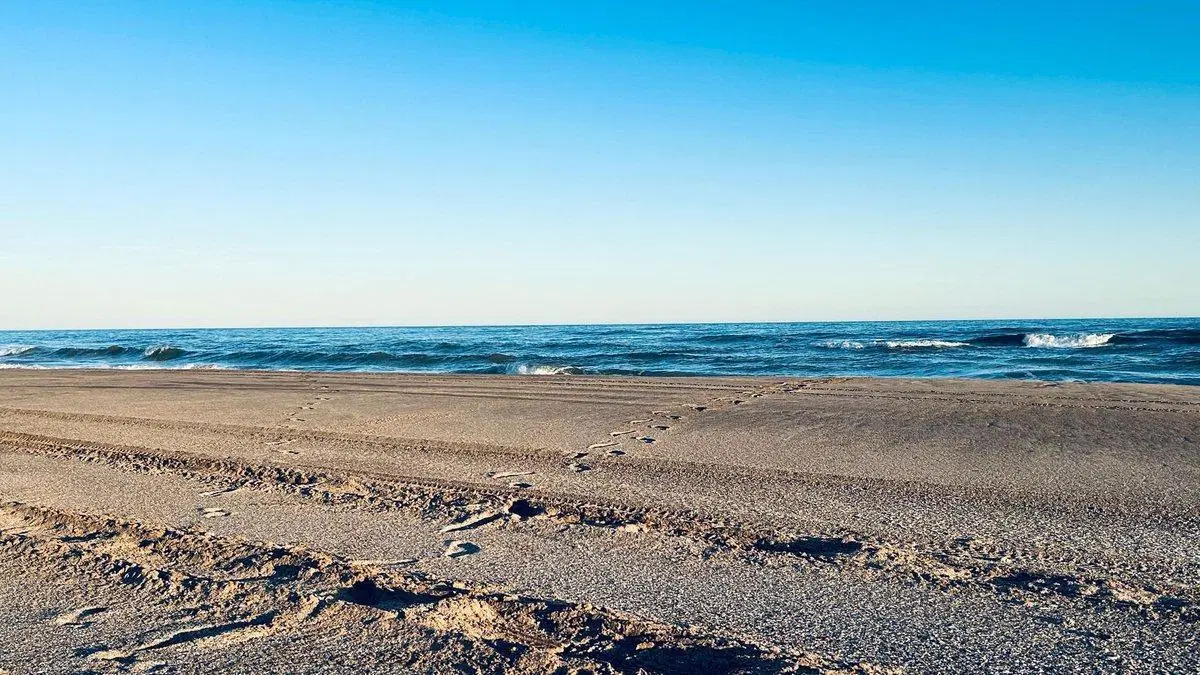 VENTA CAMPO DE 82 HA EN MEDANO BLANCO NECOCHEA 4