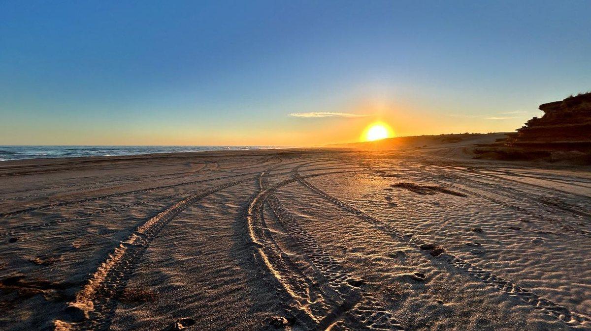 Foto de VENTA CAMPO DE 82 HA EN MEDANO BLANCO NECOCHEA, imagen 1