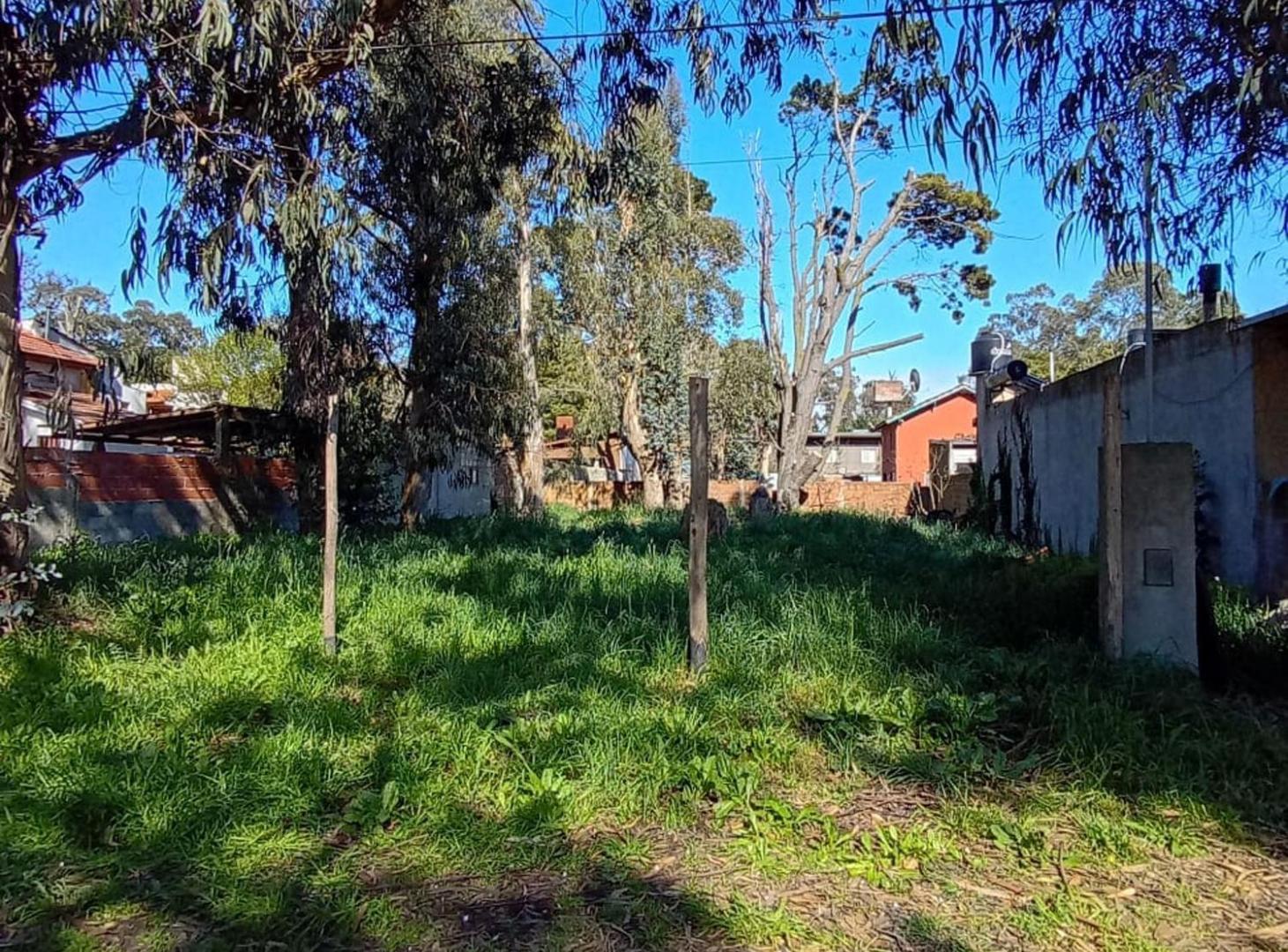 Foto de VENTA - TU PROXIMO PROYECTO COMIENZA ACA, imagen 2