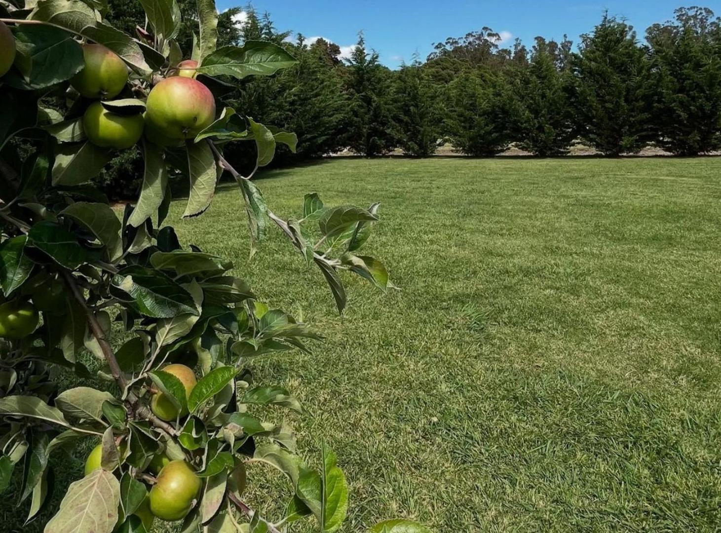 Foto de Hermoso lote en venta, imagen 1
