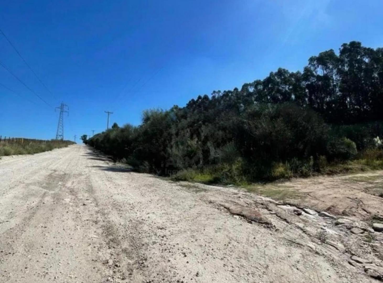 Foto de VENTA DE DOS LOTES EN ESTACIÓN CHAPADMALAL, imagen 1