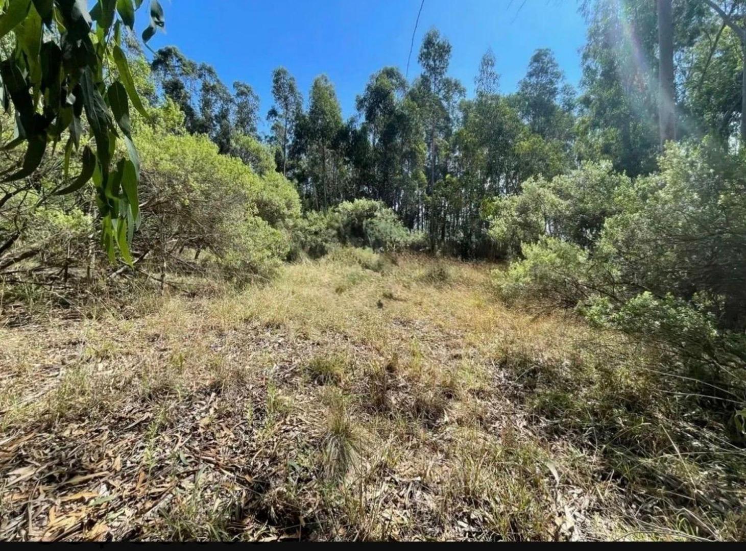 Foto de VENTA DE DOS LOTES EN ESTACIÓN CHAPADMALAL, imagen 4