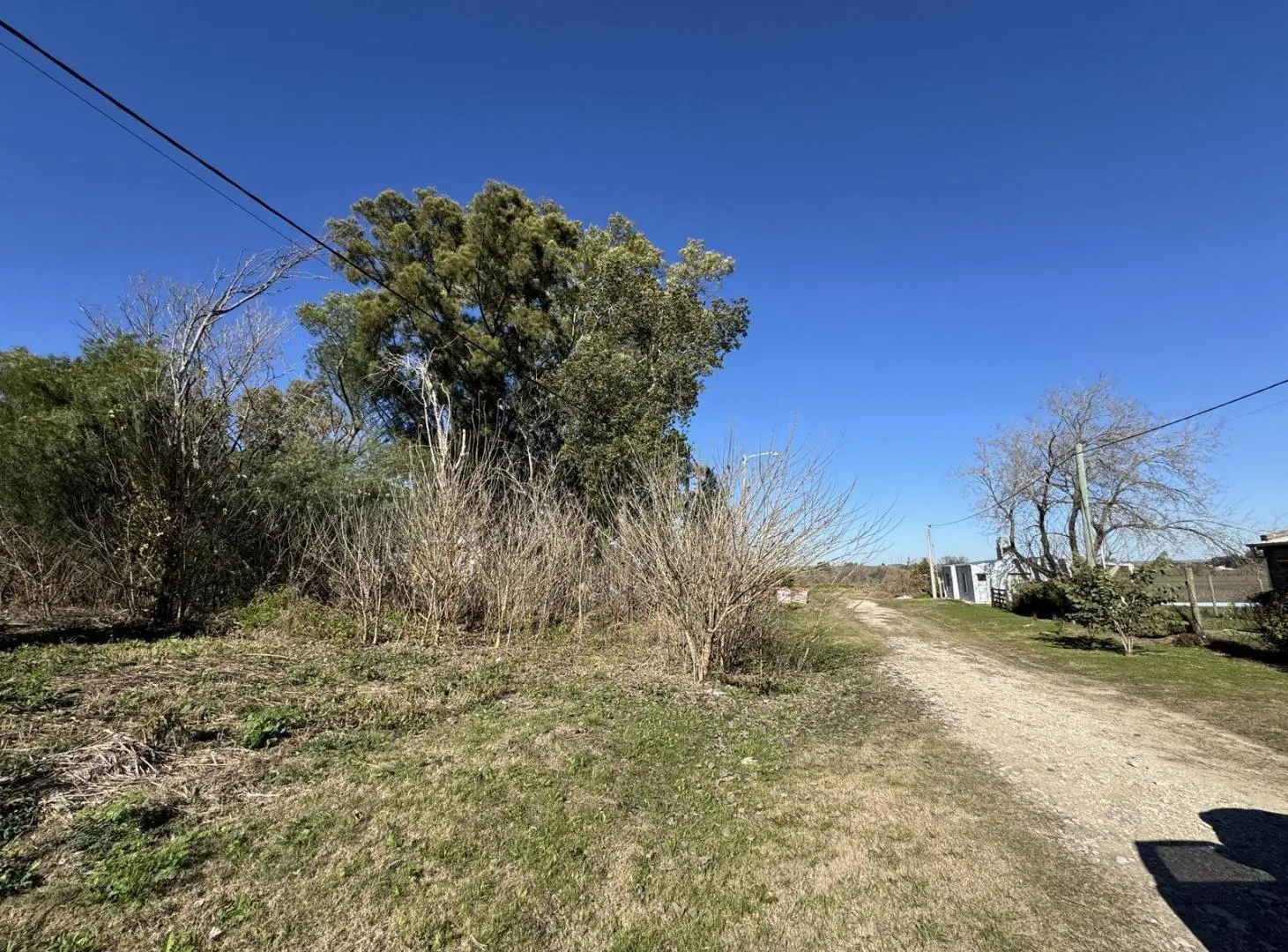 Lote 450 m² | Todos los servicios | Zona Triangular Oro Verde 4