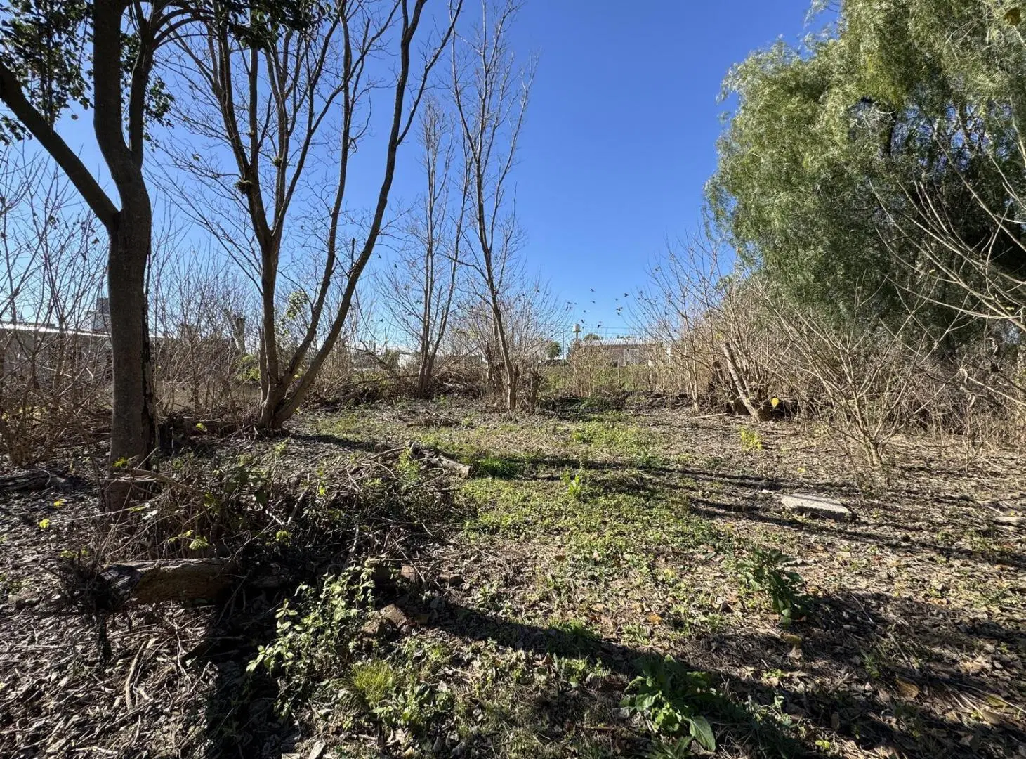 Lote 450 m² | Todos los servicios | Zona Triangular Oro Verde 8