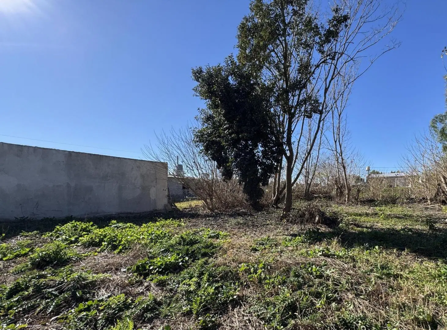 Lote 450 m² | Todos los servicios | Zona Triangular Oro Verde 5