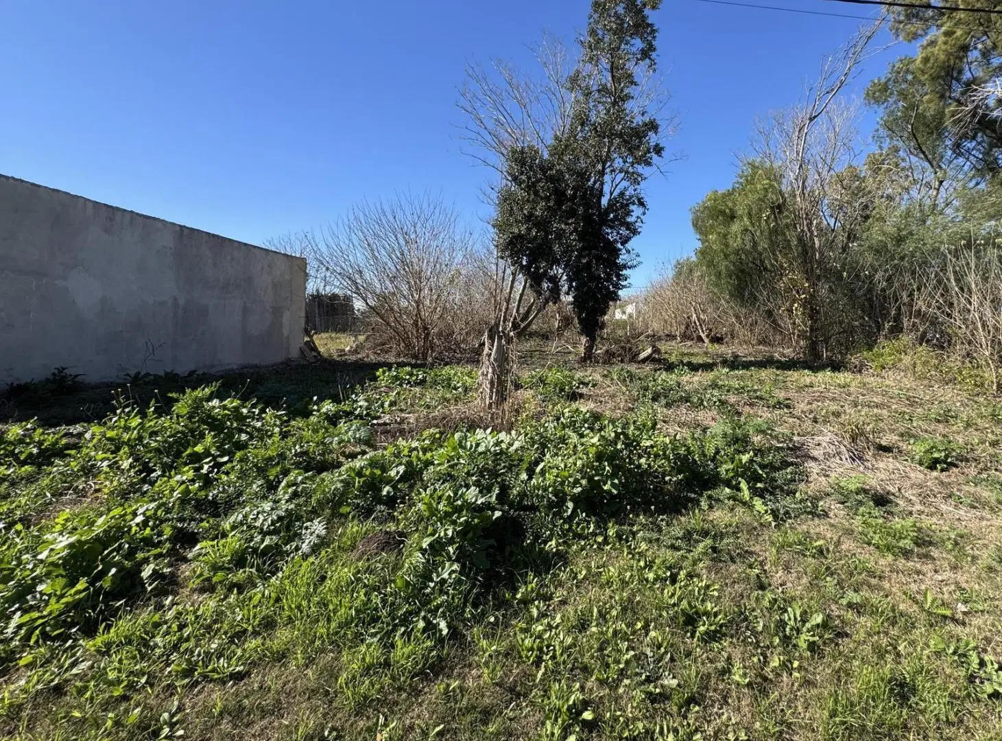 Lote 450 m² | Todos los servicios | Zona Triangular Oro Verde 3