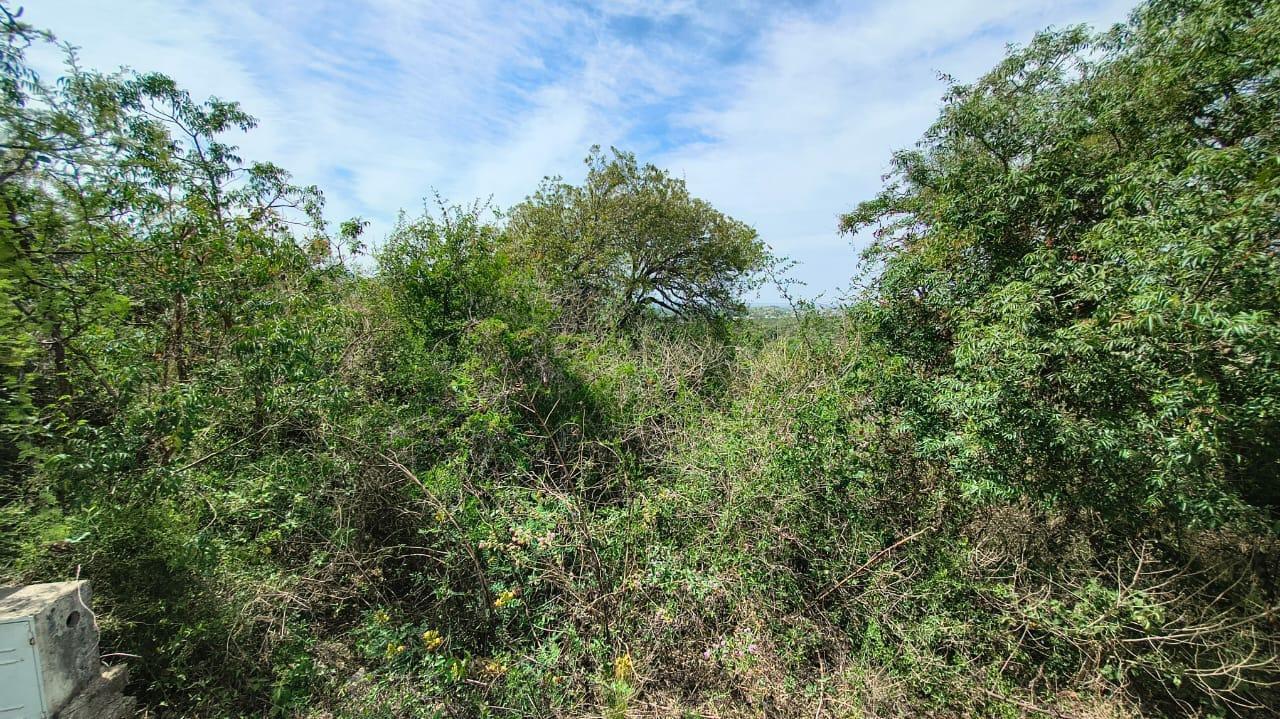 Foto de Lote de montaña Tierra Alta barrio privado, imagen 1