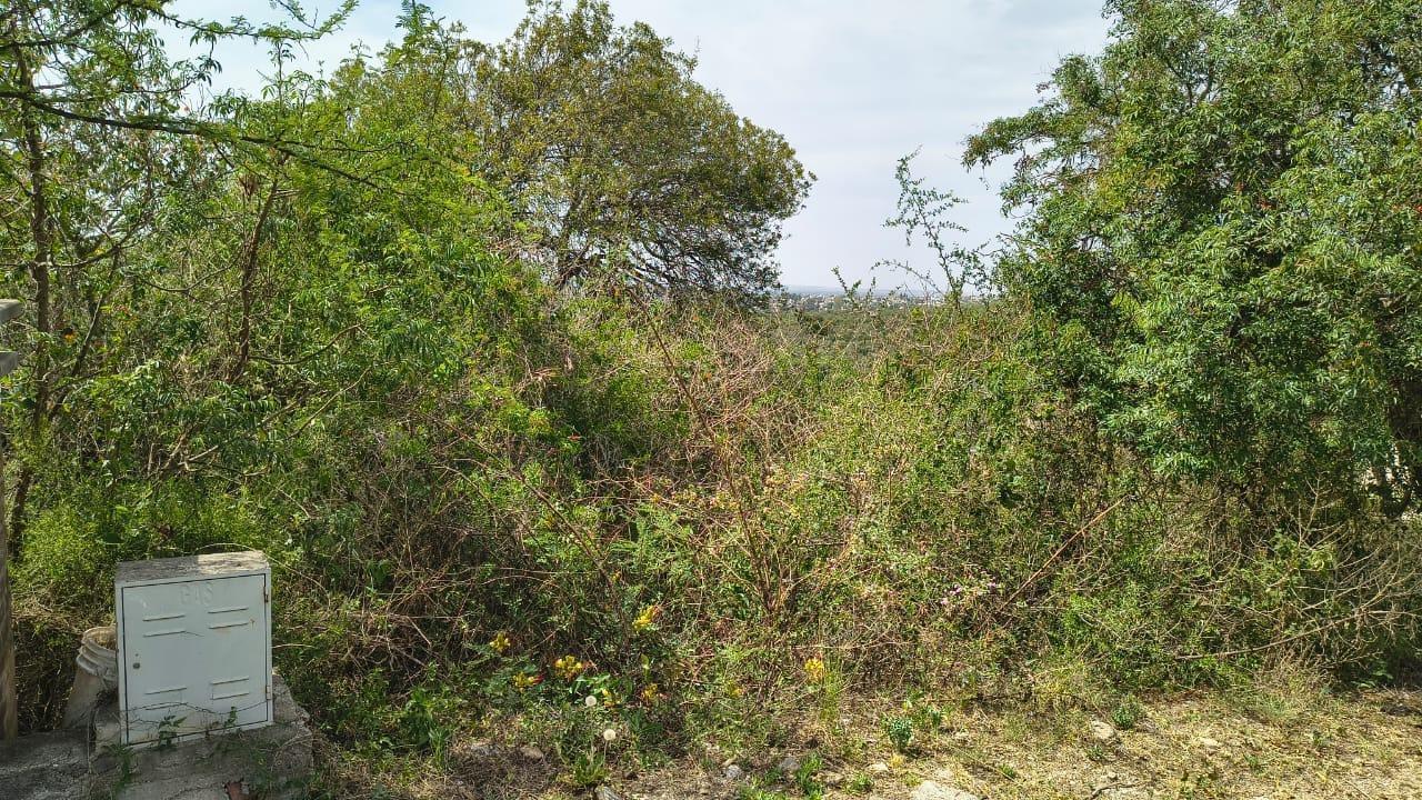 Foto de Lote de montaña Tierra Alta barrio privado, imagen 4