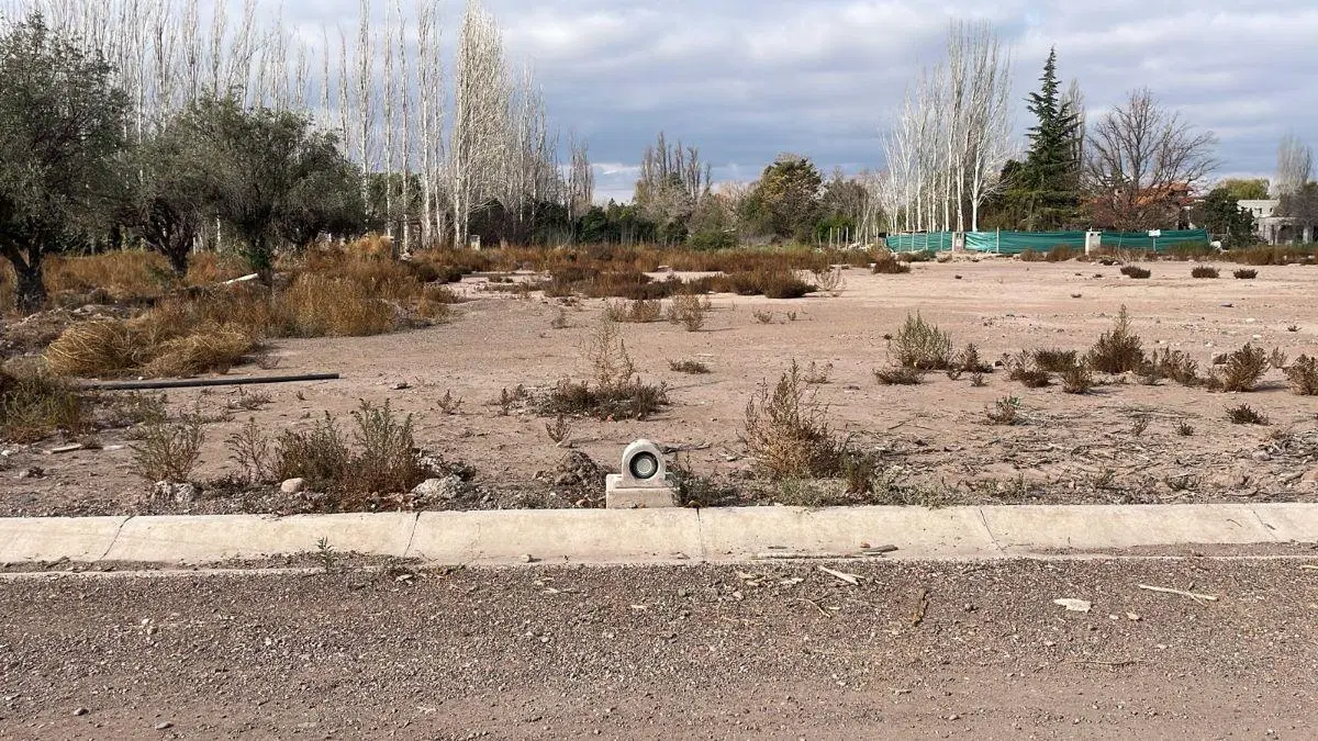 [ LOTE CENTRAL ] Distrito Larrea - Chacras de Coria | Posesión Inmediata 4