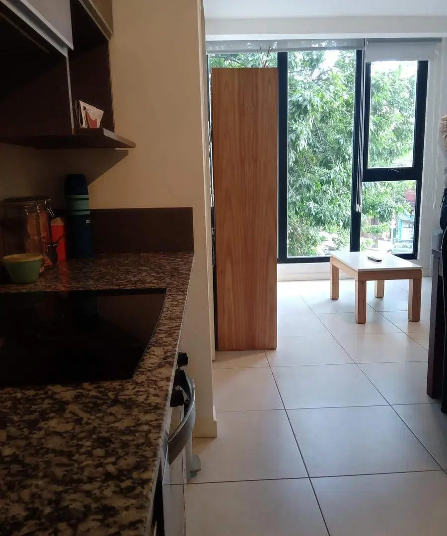 Departamento en Chacarita 2