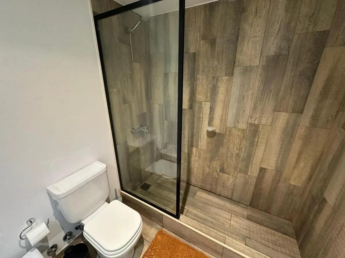 Foto de DEPARTAMENTO MONOAMBIENTE-SAN TELMO-ALQUILER TEMPORAL, imagen 4