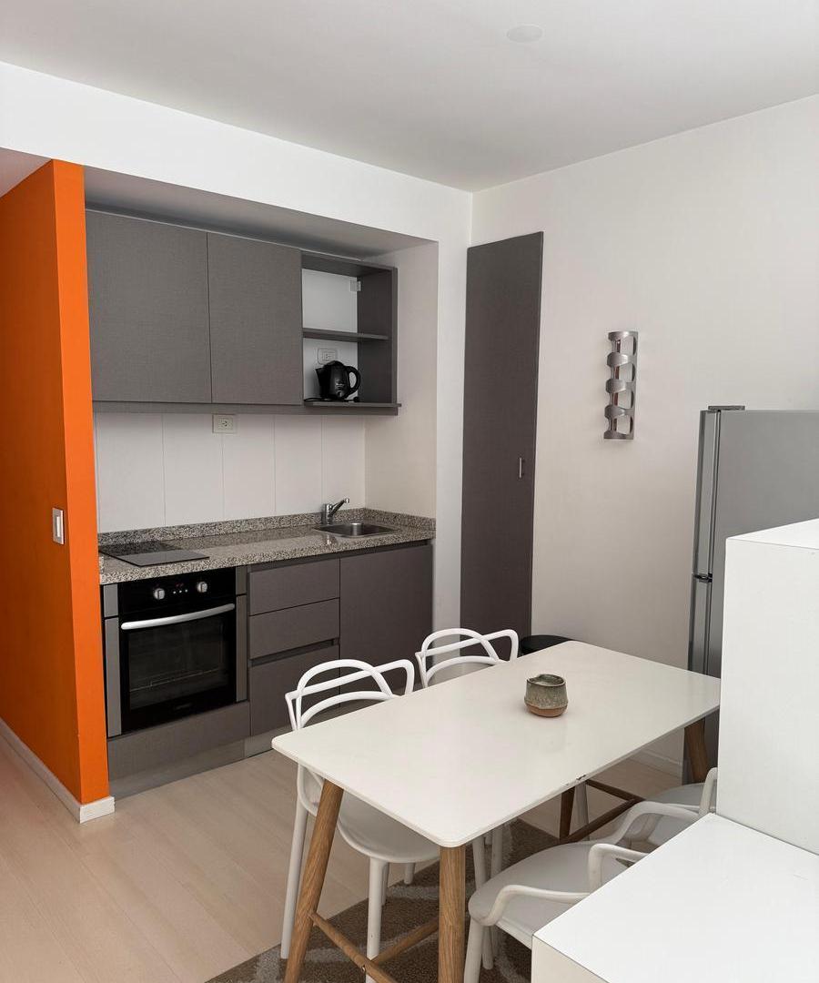 Foto de DEPARTAMENTO MONOAMBIENTE-RECOLETA-ALQUILER TEMPORAL, imagen 4