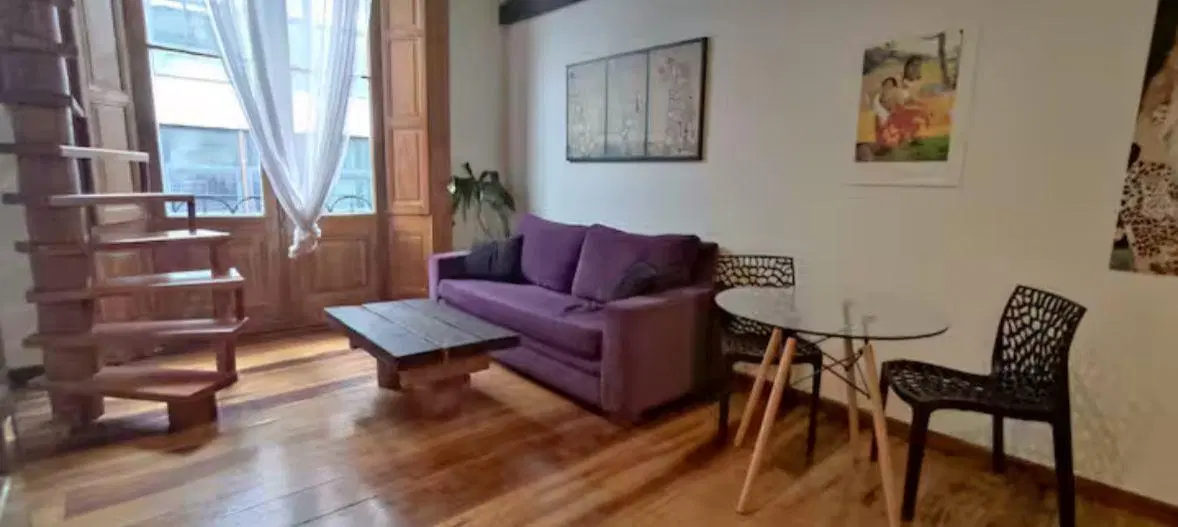 DEPARTAMENTO DOS AMBIENTES- SAN TELMO-ALQUILER TEMPORAL 4