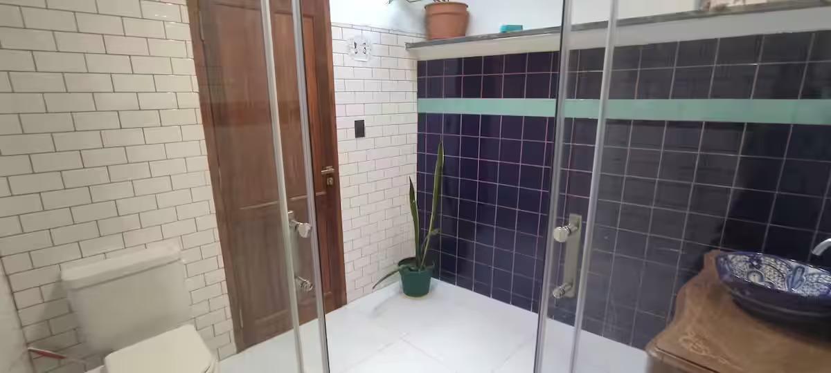 Foto de DEPARTAMENTO DOS AMBIENTES- SAN TELMO-ALQUILER TEMPORAL, imagen 1