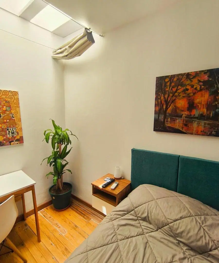 DEPARTAMENTO TRES AMBIENTES-SAN TELMO-ALQUILER TEMPORAL 5