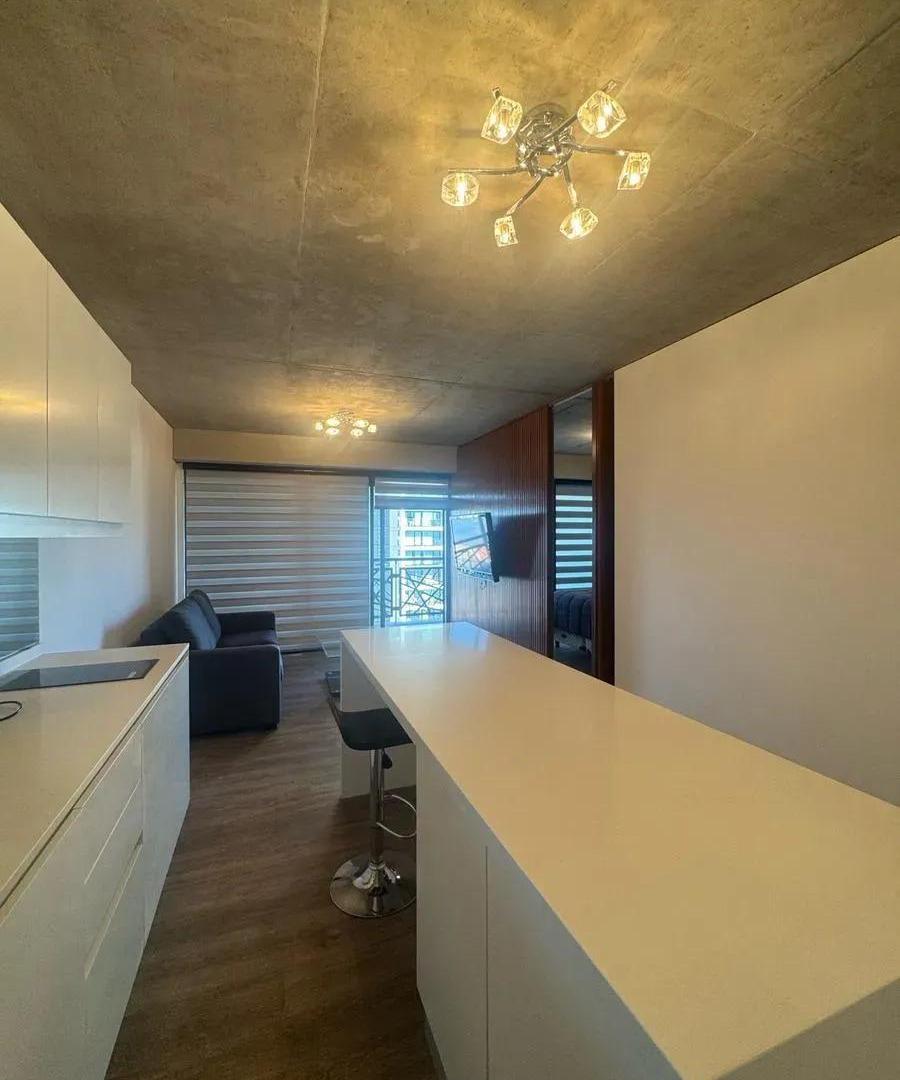 Foto de DEPARTAMENTO MONOAMBIENTE-SAN TELMO-ALQUILER TEMPORAL, imagen 4