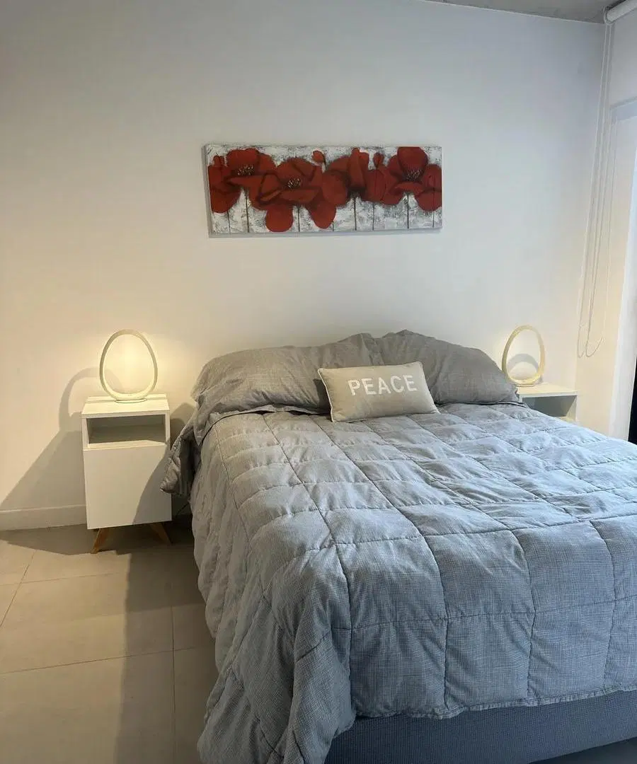 DEPARTAMENTO DOS AMBIENTES-PALERMO HOLLYWOOD-ALQUILER TEMPORAL 3